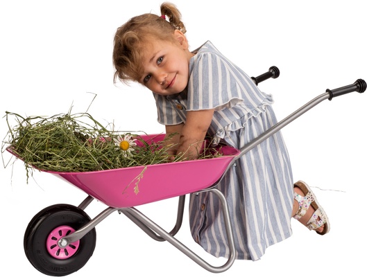 Carretilla Metalica de Jardin Juguete Rosa